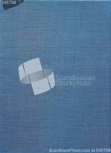 Image of Pale Blue Canvas