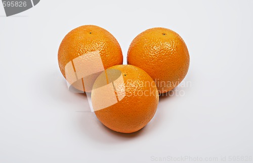 Image of orange