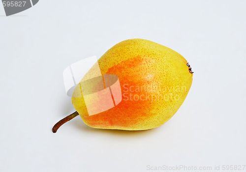 Image of pear