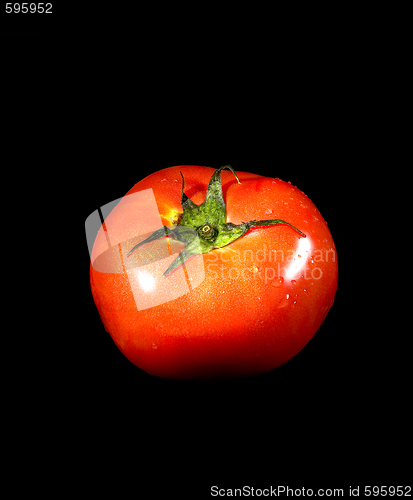 Image of tomato on black