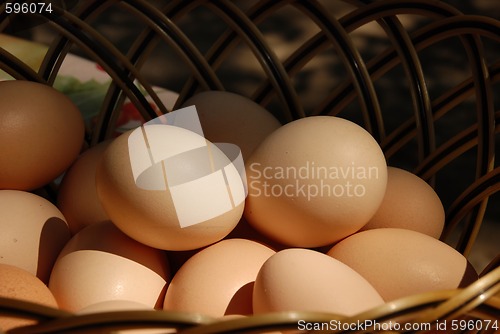 Image of Eggs in basket