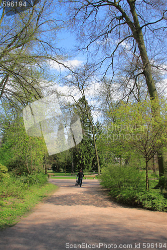 Image of Summer landscape