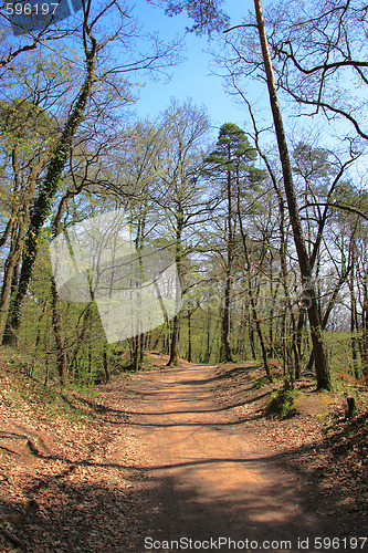Image of Summer landscape