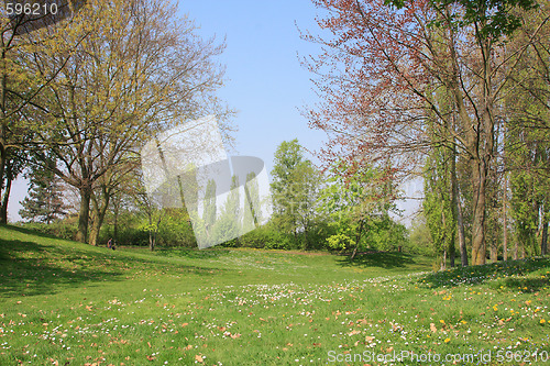 Image of Summer landscape