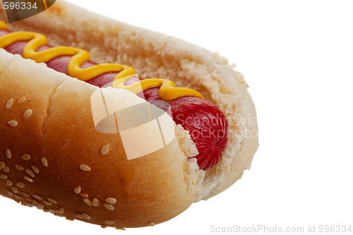 Image of Hot Dog Macro