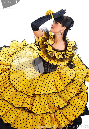 Image of Flamenco dancer