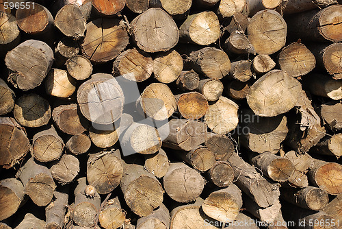 Image of Wood pile