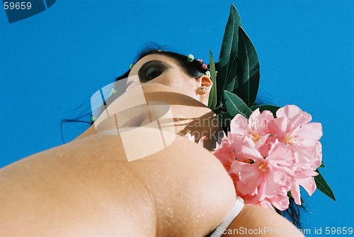 Image of Spring