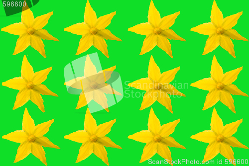 Image of yellow flowers