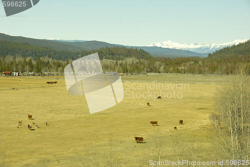 Image of coast mountains