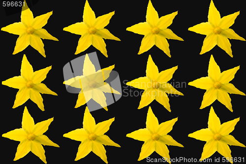 Image of yellow flowers