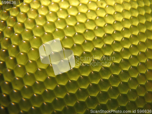 Image of beehive