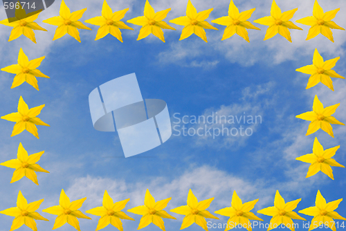 Image of sky with flowers