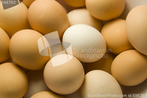 Image of eggs