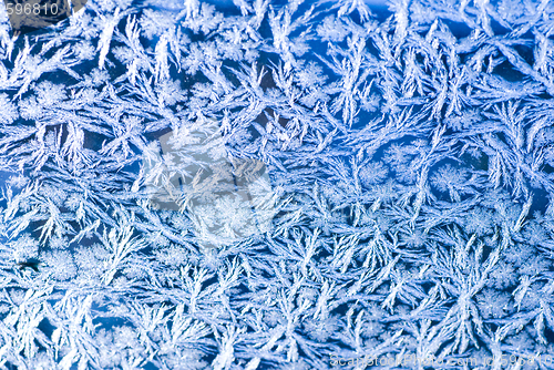 Image of ice crystals