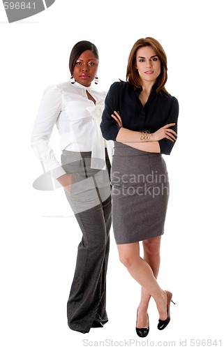 Image of Beautiful business women