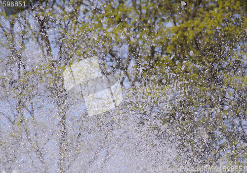 Image of drops