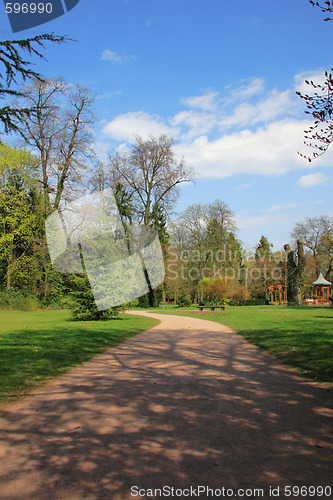 Image of Summer landscape