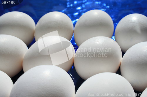 Image of Chicken Eggs