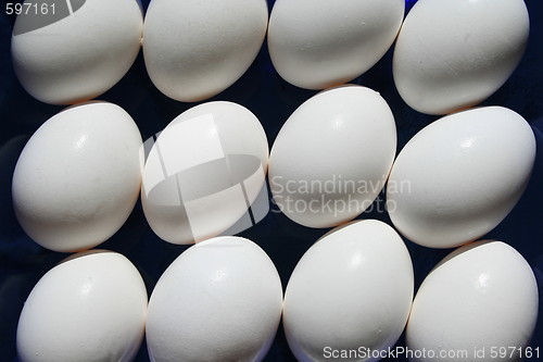 Image of Chicken Eggs