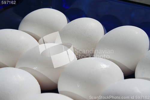 Image of Chicken Eggs