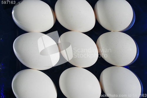 Image of Chicken Eggs