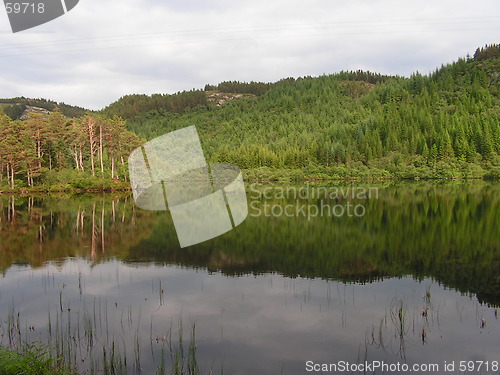 Image of reflection in water