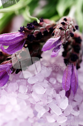 Image of lavender bath salt