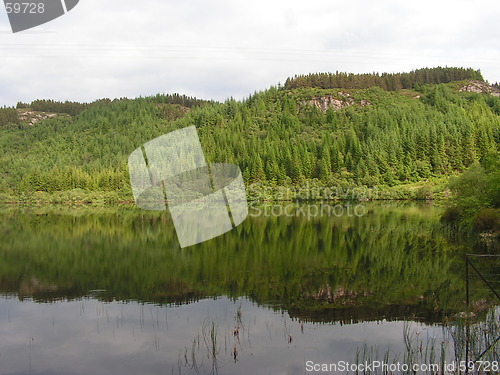 Image of Water reflections