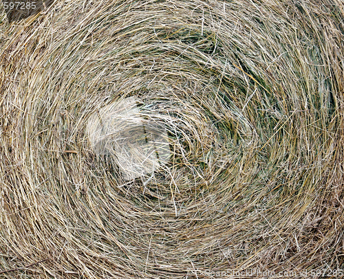 Image of Straw