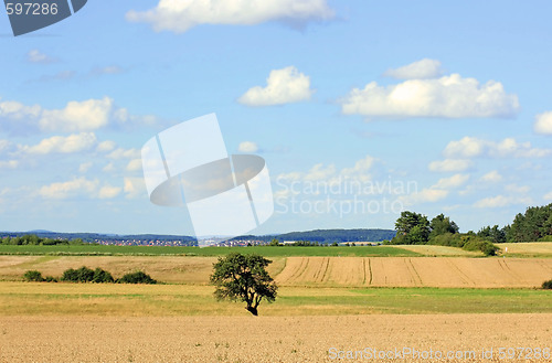 Image of Landscape