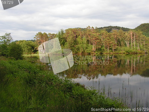 Image of Reflections in water