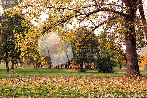 Image of Autumn park