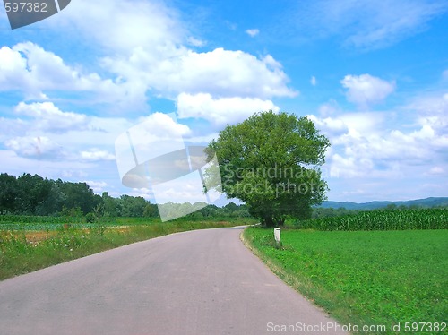 Image of Country road