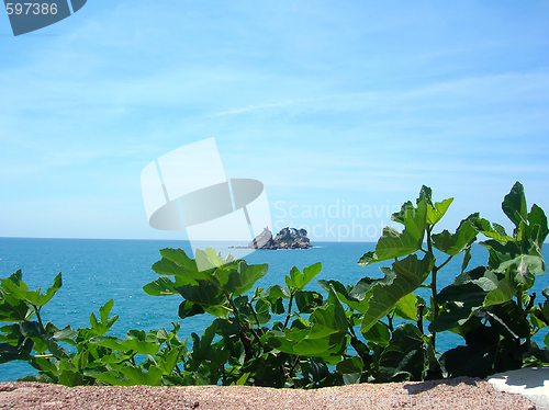 Image of island in sea over green leaves