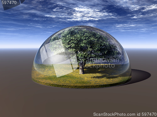 Image of tree
