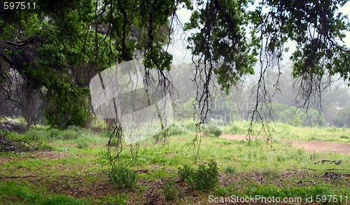 Image of Santa Susana Mountains