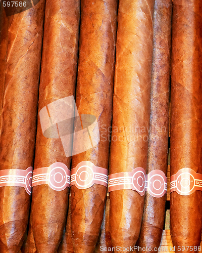 Image of Cigars angle