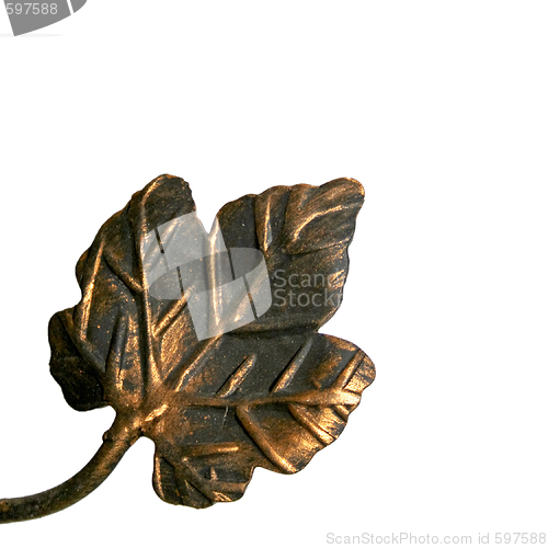 Image of Iron leaf