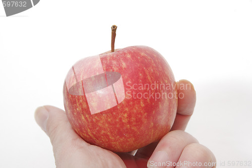 Image of apples on white