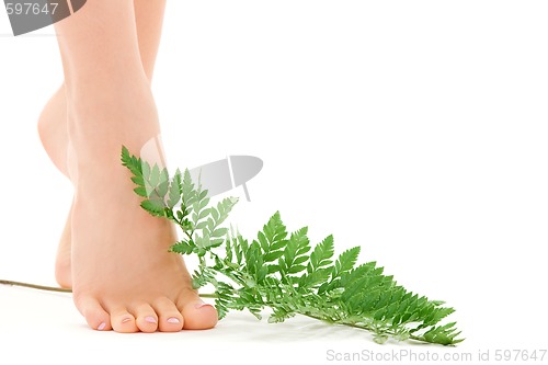 Image of female feet with green leaf