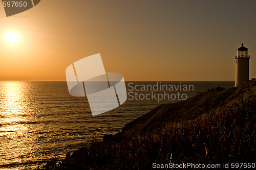 Image of Cape Disappointment