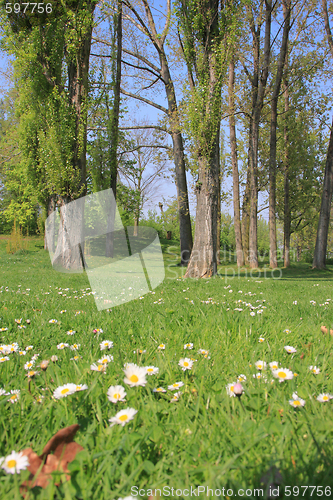 Image of Summer landscape