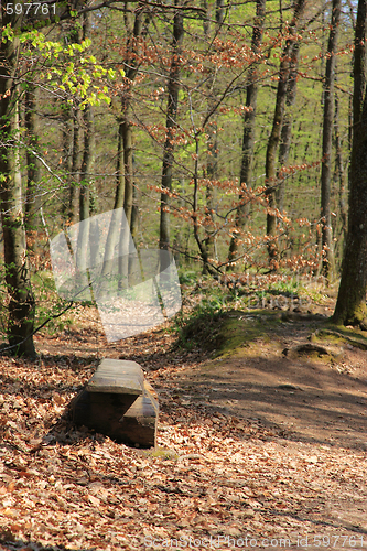 Image of Summer landscape