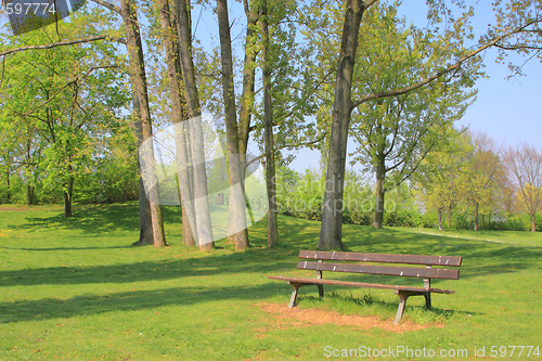 Image of Summer landscape