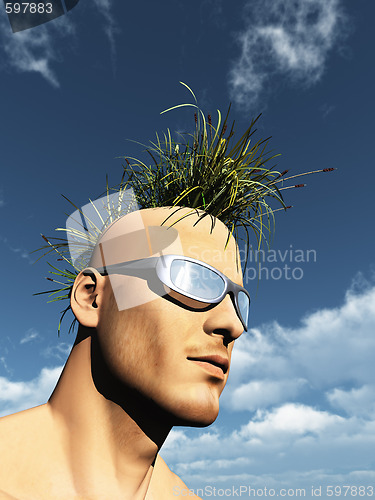 Image of grass mohawk