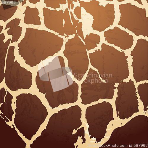 Image of giraffe pattern