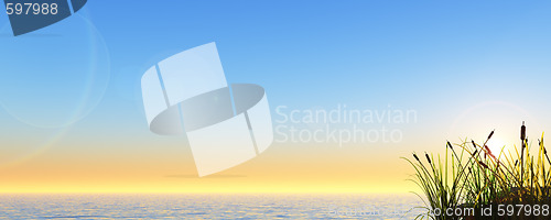 Image of reet
