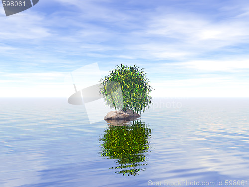 Image of lonely tree