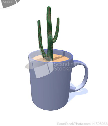 Image of cactus